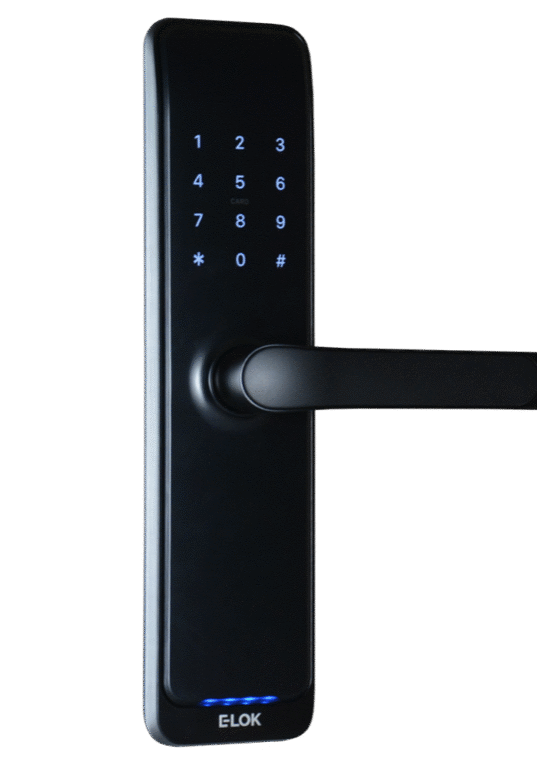 805BLK 1000px lights on